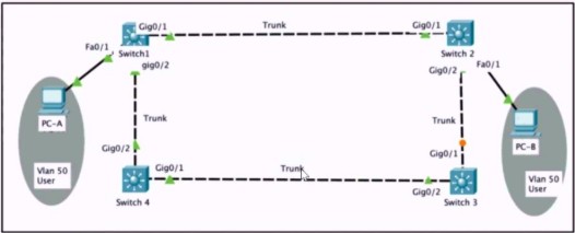 350-401 dumps exhibit